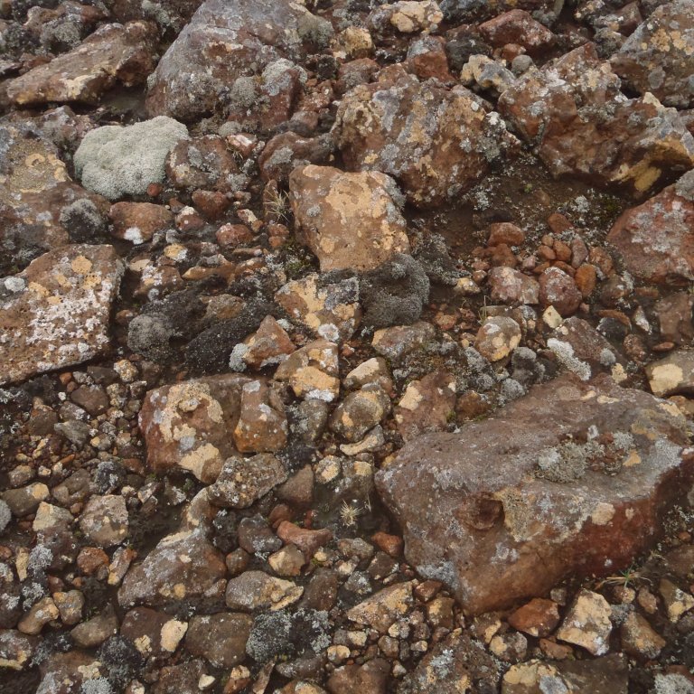 p7280065