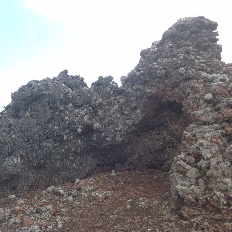 p7280077