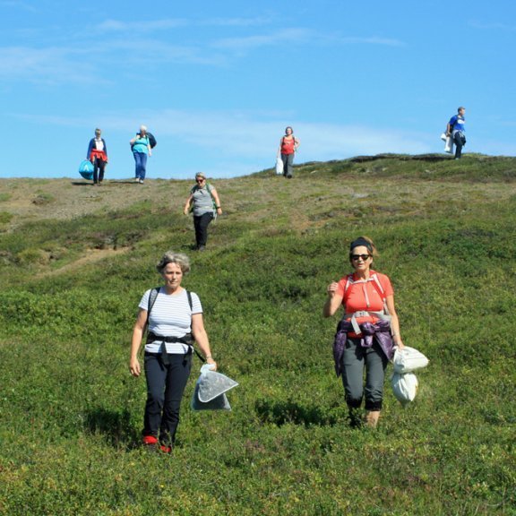 Á leið niður sunnan við Melgilið að Vestari-Skjöldumýri.