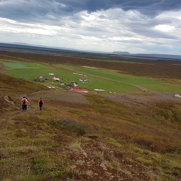 Komið niður að Fjöllum.