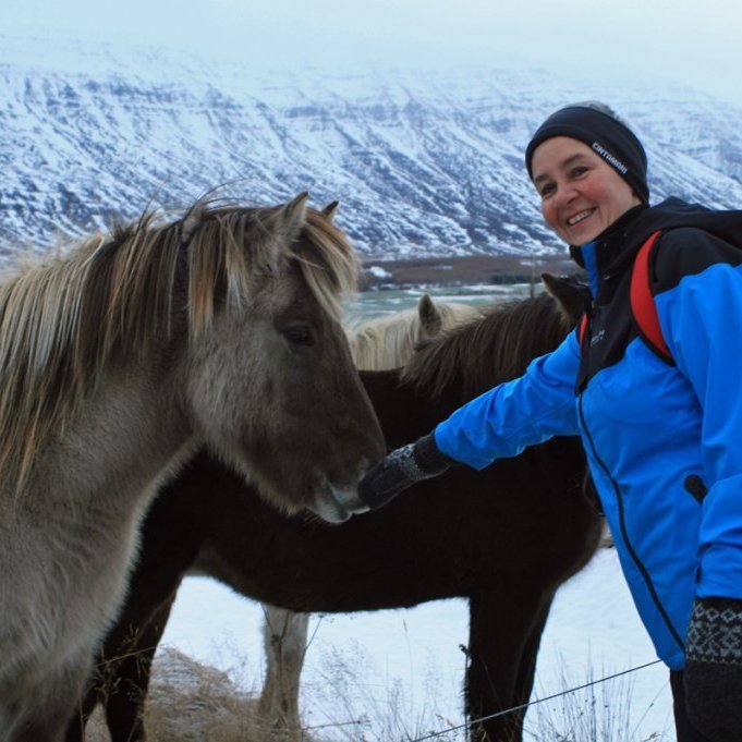 Vingjarnlegir hestar urðu á leið okkar.