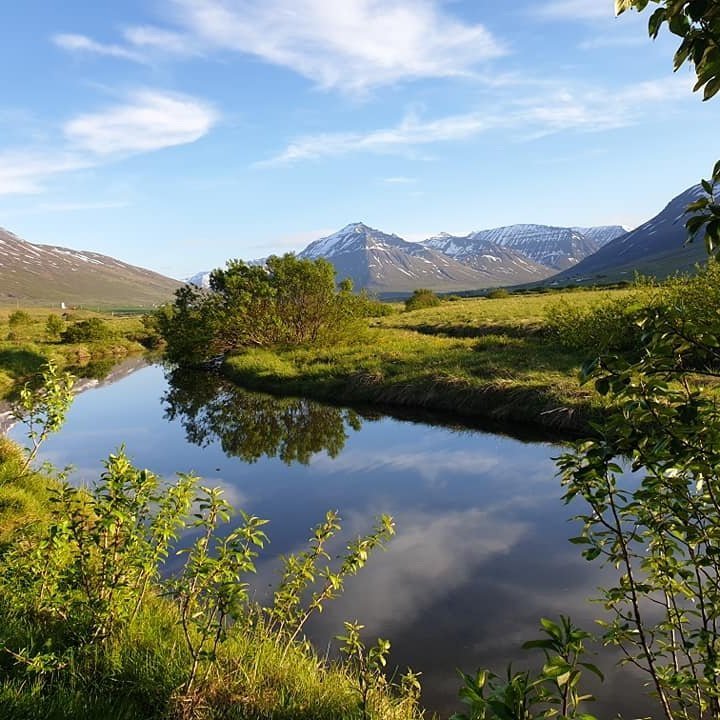Í friðlandi Svarfdæla.