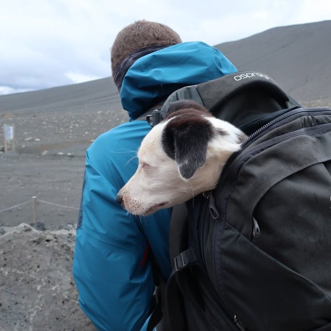 Þessi fékka að fljóta með og var stundum svolítið þreyttur.