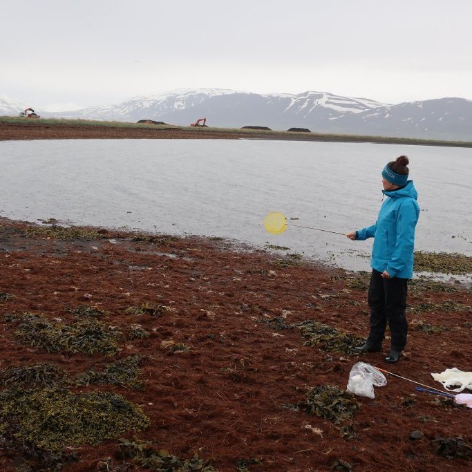 Brynhildur Bjarnadóttir