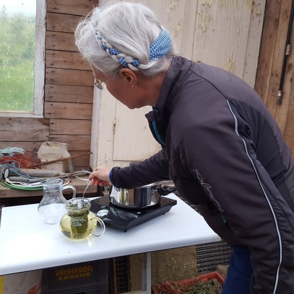 Helga BJrög hellti upp á dýrindiste úr jurtum sem hún týnir á Hesjuvöllum.