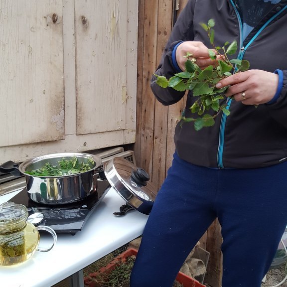 Helga búin að týna jurtir í teð og setur þær beint í pottinn.