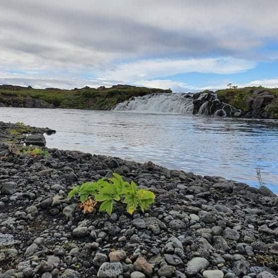 118257016_2635488826779813_4225871799726956560_n