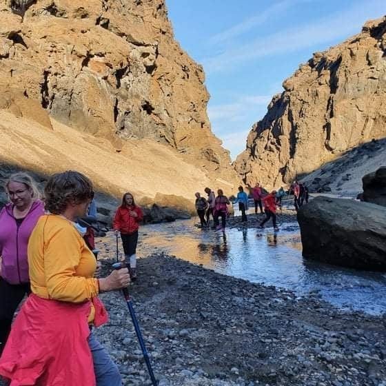 118296598_630872334492012_2653060111465443140_n