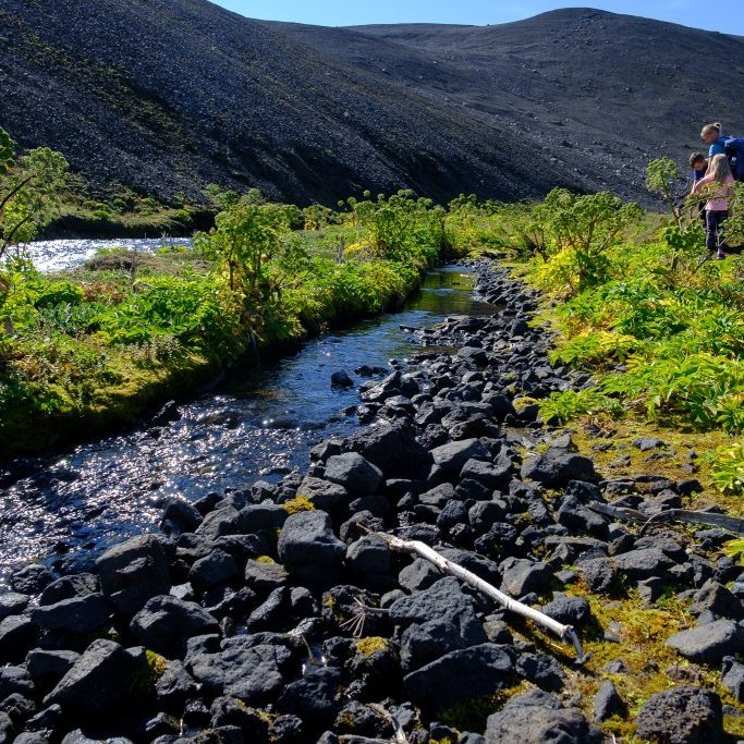 Í Herðubreiðarlindum