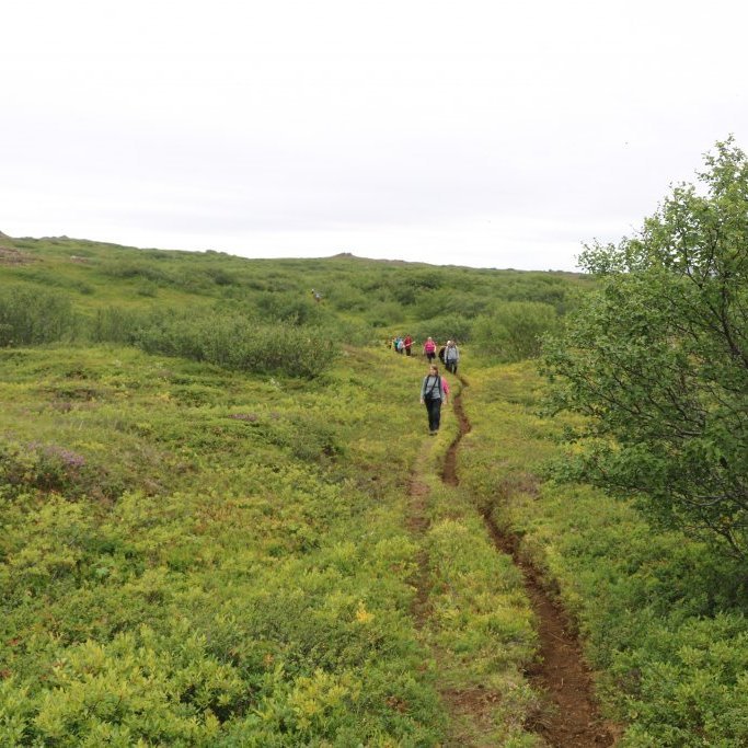Komið niður að Bláskógum.