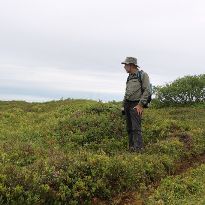 Gamall túngaður við Bláskóga.