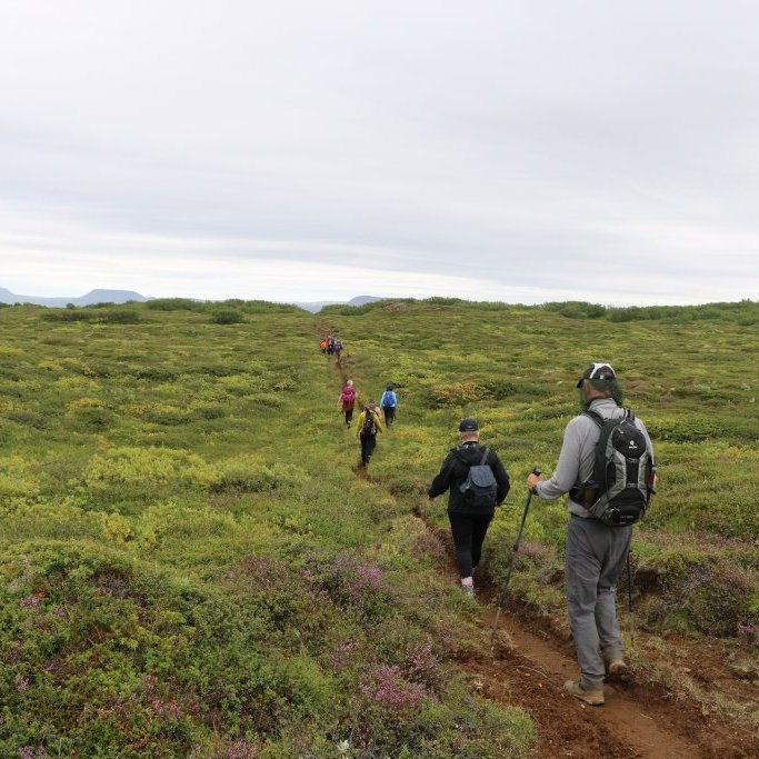 img_4815-afrit-afrit