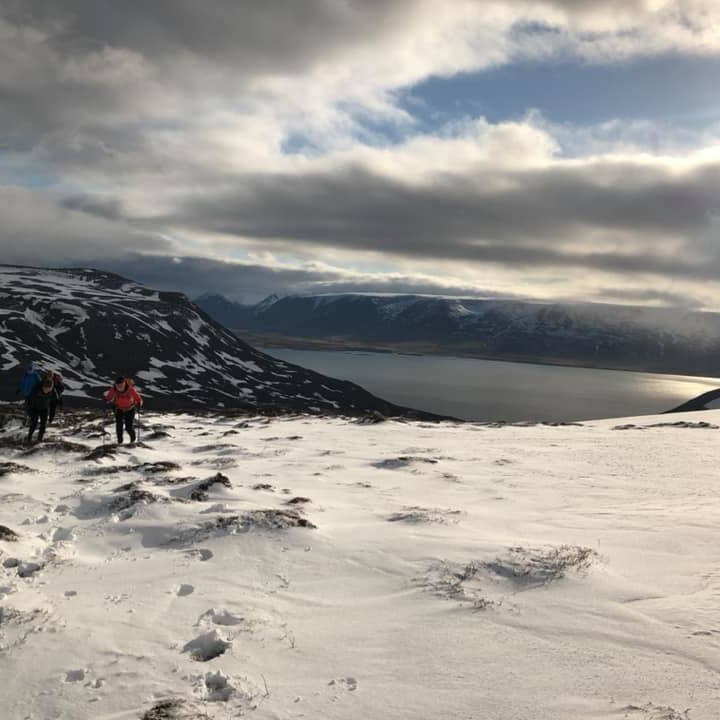 drafastfjallsandra-einarsd1