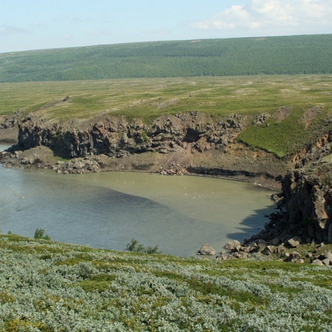 Grænhylur í Skjálfandafljóti norðvestan Þingeyjar.