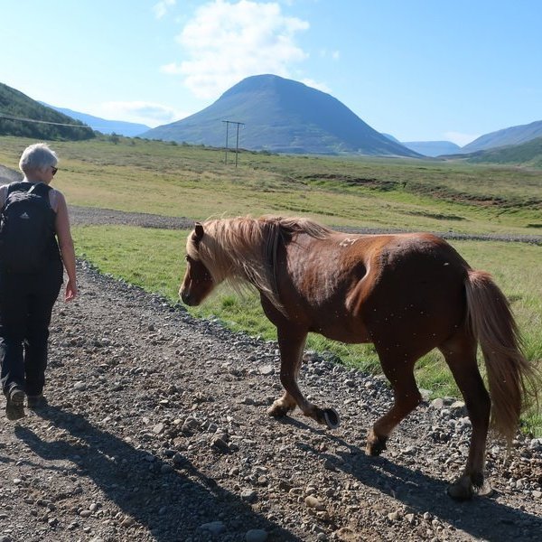 img_2449_resize-copy