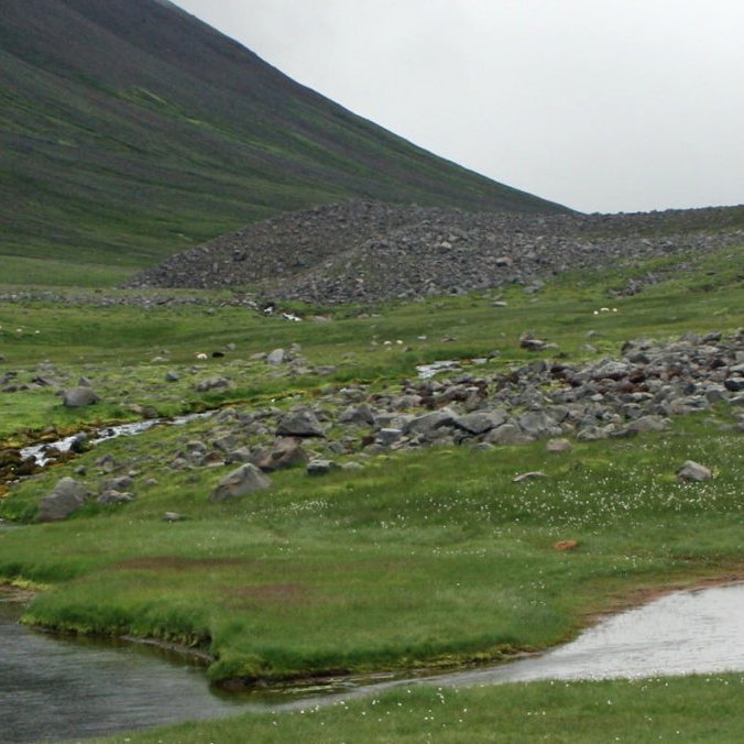 Tvö risastór grjóthrúgöld eftir snjóflóð úr norðurhlíðinni (til vinstri) nærri miðju Gönguskarði.