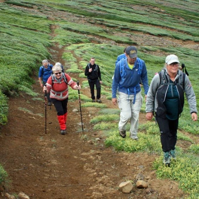Gengið austur gamlan vegarslóða sunnan megin í Gönguskarði.