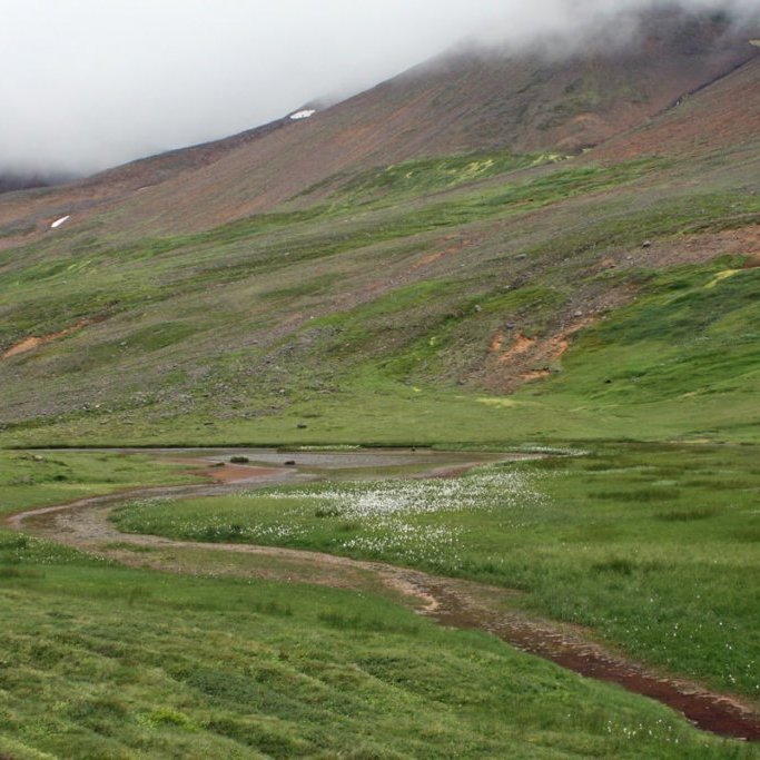 Um hálfa leið austur Gönguskarð verður skarðsbotninn flatur og mýrlendur.