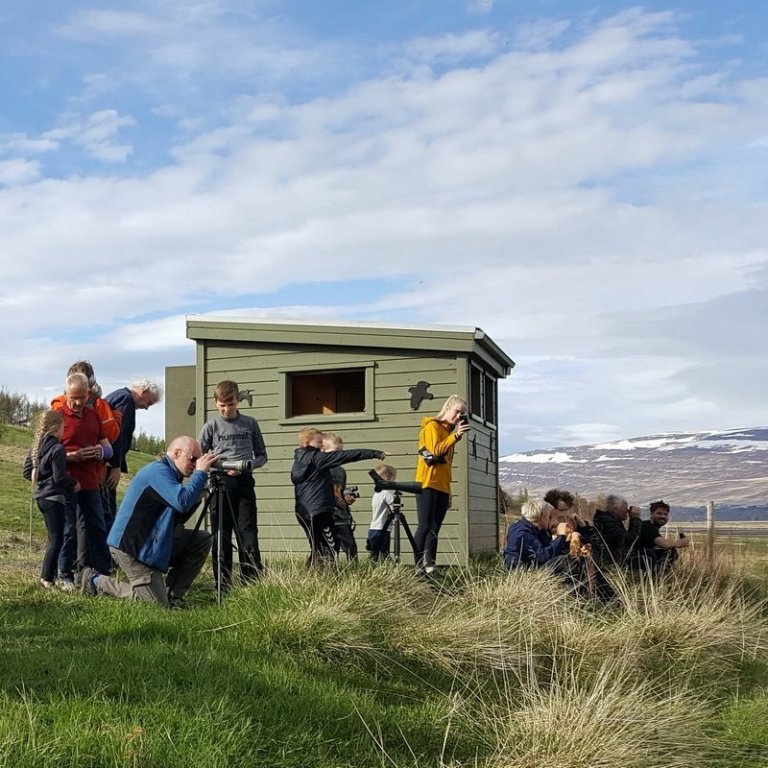 fjola-1_klippt_resize