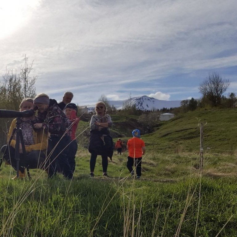 fjola3_klippt_resize