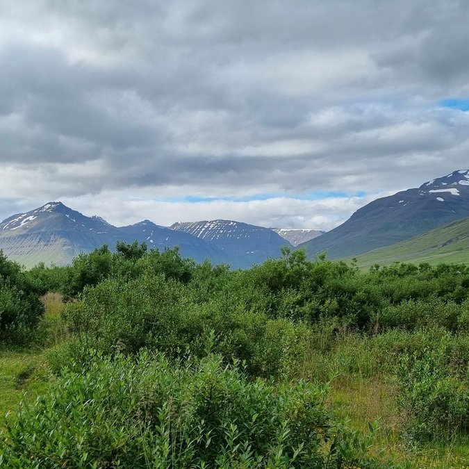 gengid-inn-i-haustid_resize