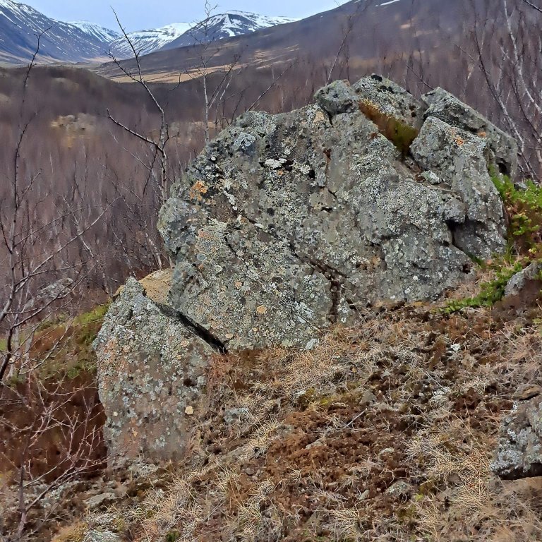 Í Leyningshólum. Mynd ÞÞ