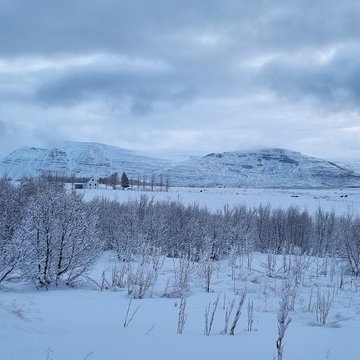 20230218_095508_resize