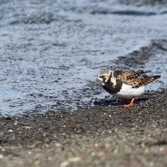 346049001_789390025914199_1080865517302198522_n_resize