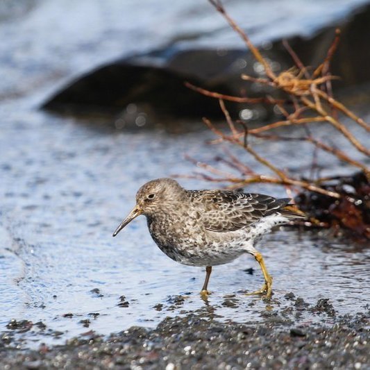 346068402_934292327813235_3961876337831503608_n_resize