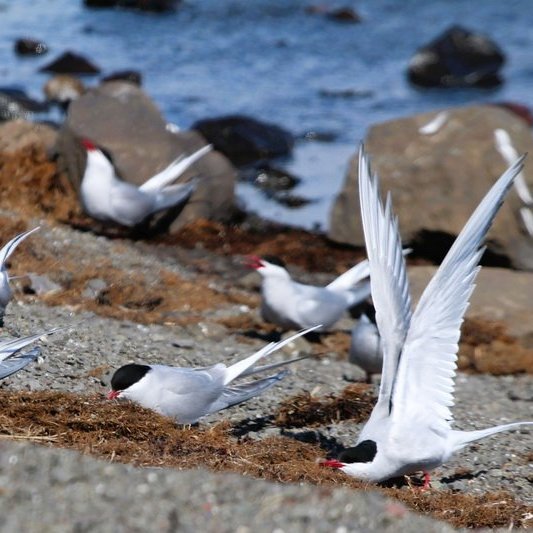 346100940_176418885376635_5406687403626435960_n_resize