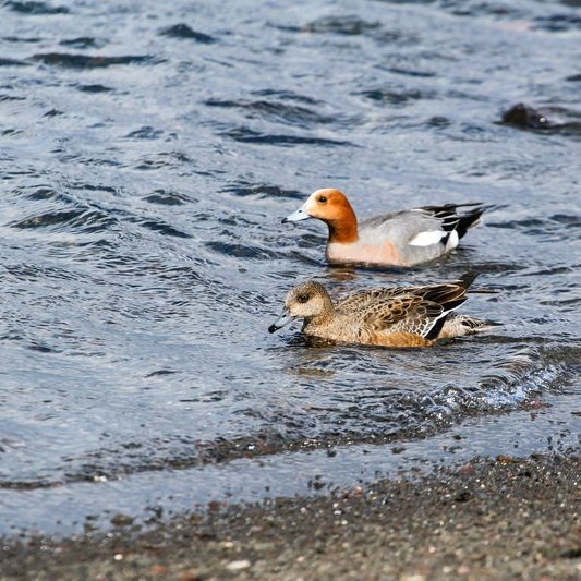 346101569_975687830233265_1539090408279493848_n_resize