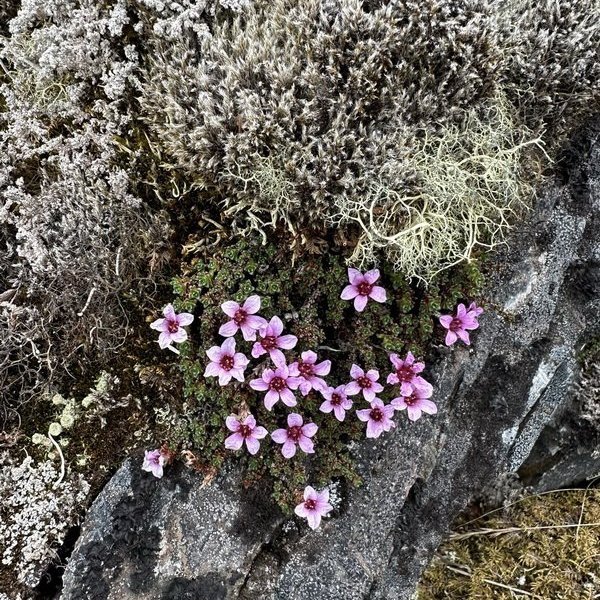 354788435_1221725748542817_476455935519284000_n_resize