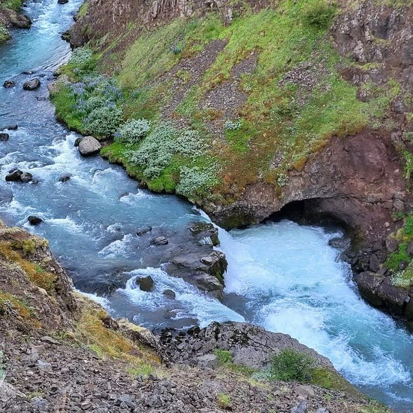 352440261_244698838303603_6383688029288095752_n_resize