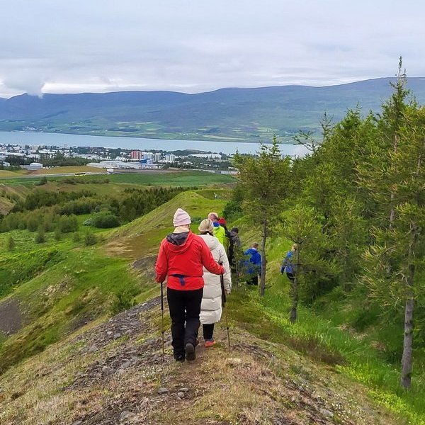 352454717_1486750775063358_4297409230563723480_n_resize