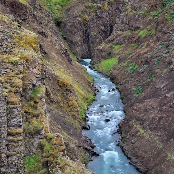 352555183_653433383353636_6724613452885345594_n_resize