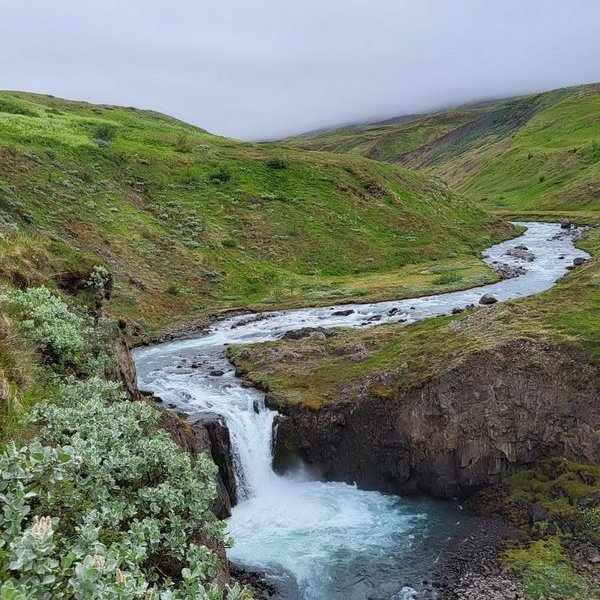 355509831_229776049860683_8219291791544865924_n_resize