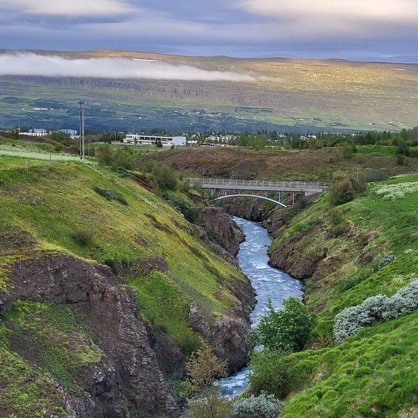 356183377_524217436464538_7187036070828263837_n_resize