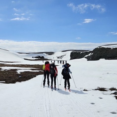 halldora-b-sk-2_resize