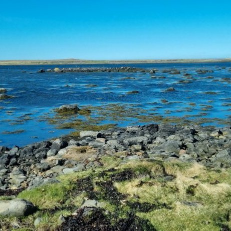 asta-margret-1_resize