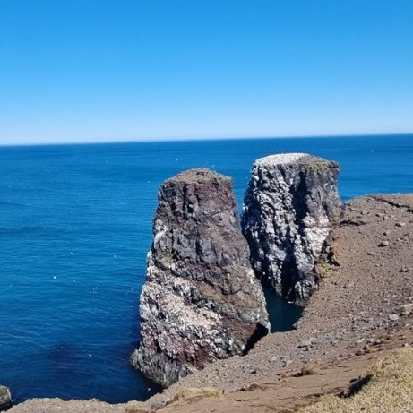 asta-margret-2_resize