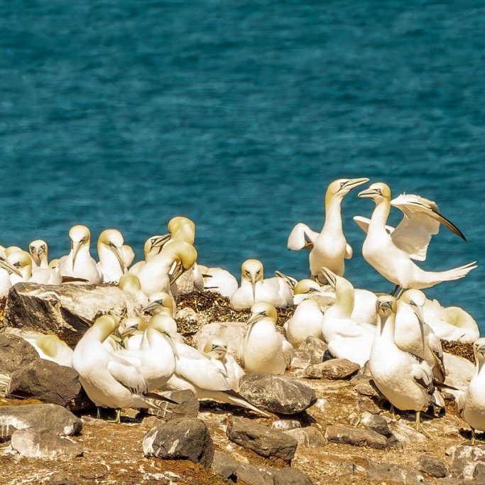 sigurgeir-har-8_resize