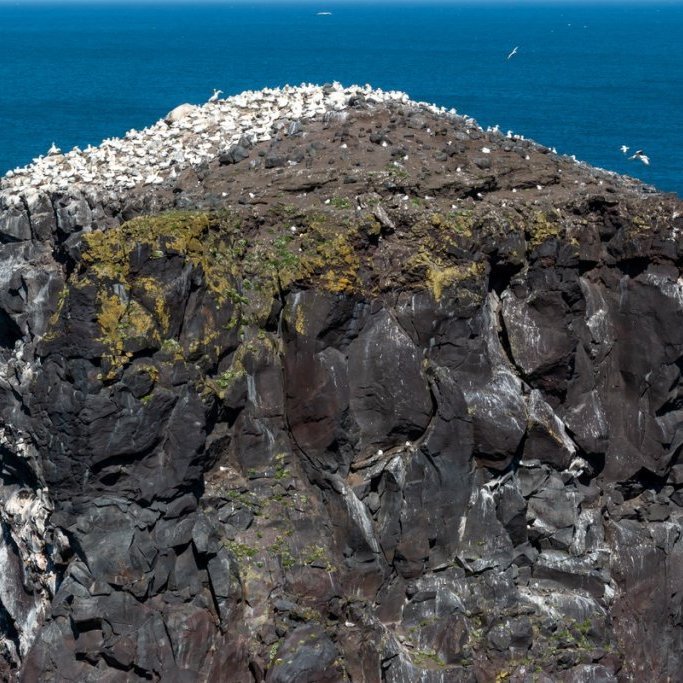 sigurgeir-har-9_resize