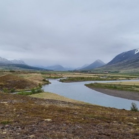 Gásir - Skipalón 18. júní