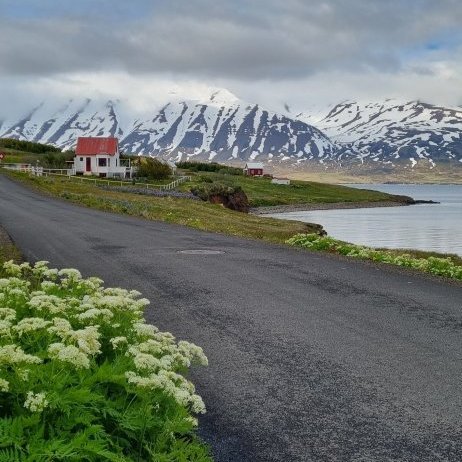 Sólstöðuganga í Hrísey 19. júní