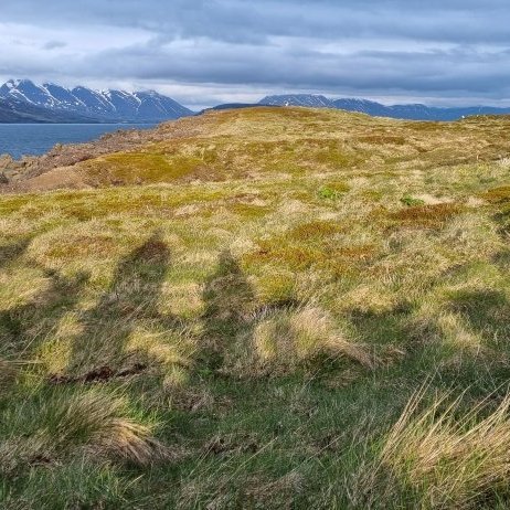 Sólstöðuganga í Hrísey 19. júní