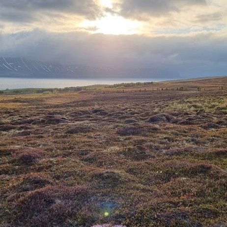 Sólstöðuganga í Hrísey 19. júní