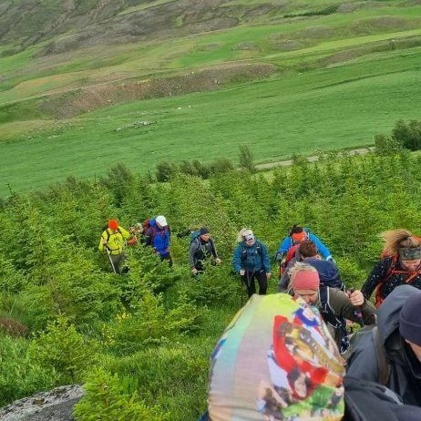 Erum koma okkur í gegnum skóginn ofan við Hólsgerði í upphafi göngu.