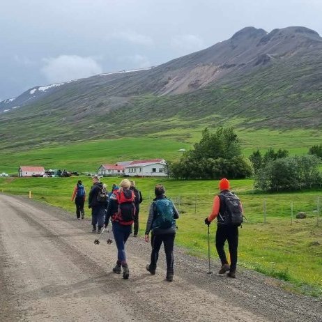 Þessi magnaði hópur að koma að bænum Torfufelli