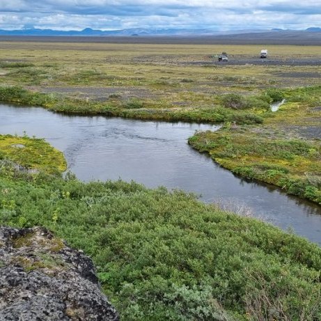 Lindirnar skörtuðu sínu fegursta