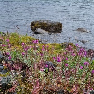 20240825_121602_resize